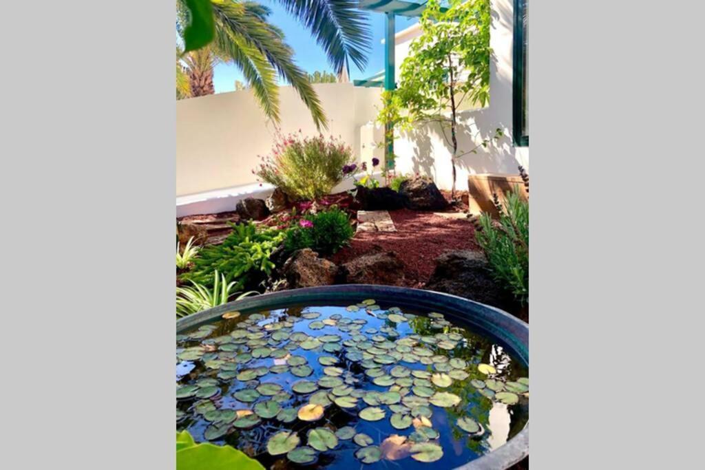 Unique, Stylish & Calm El Estanque By The Sea, Adults Only Villa Costa Teguise Ngoại thất bức ảnh